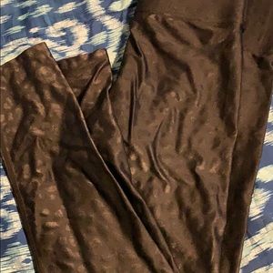 Carbon 38 takara leggings